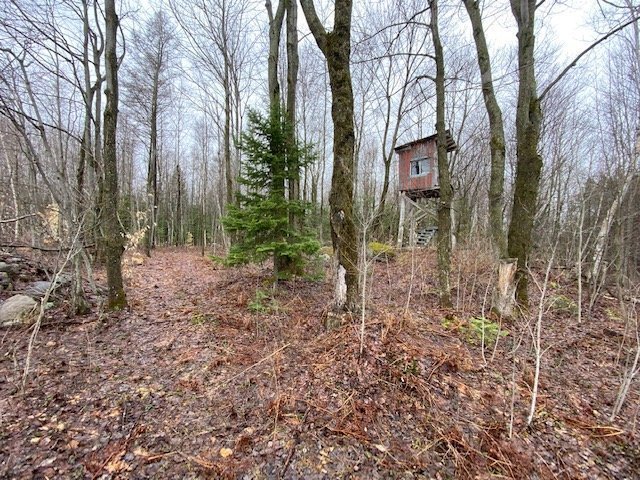 Photo - Terre/Terrain