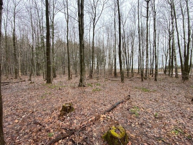 Photo - Terre/Terrain