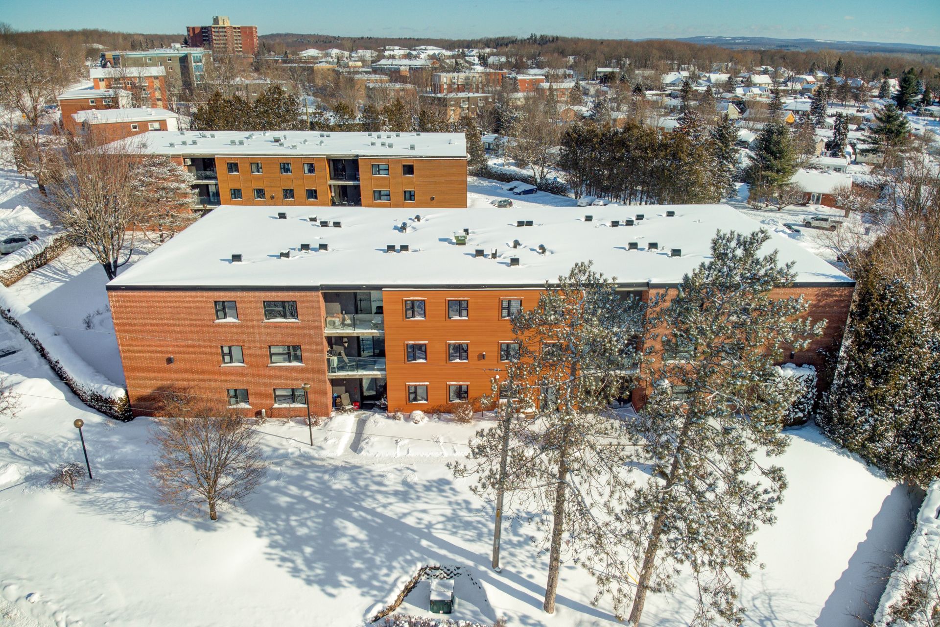 Photo - Aerial photo