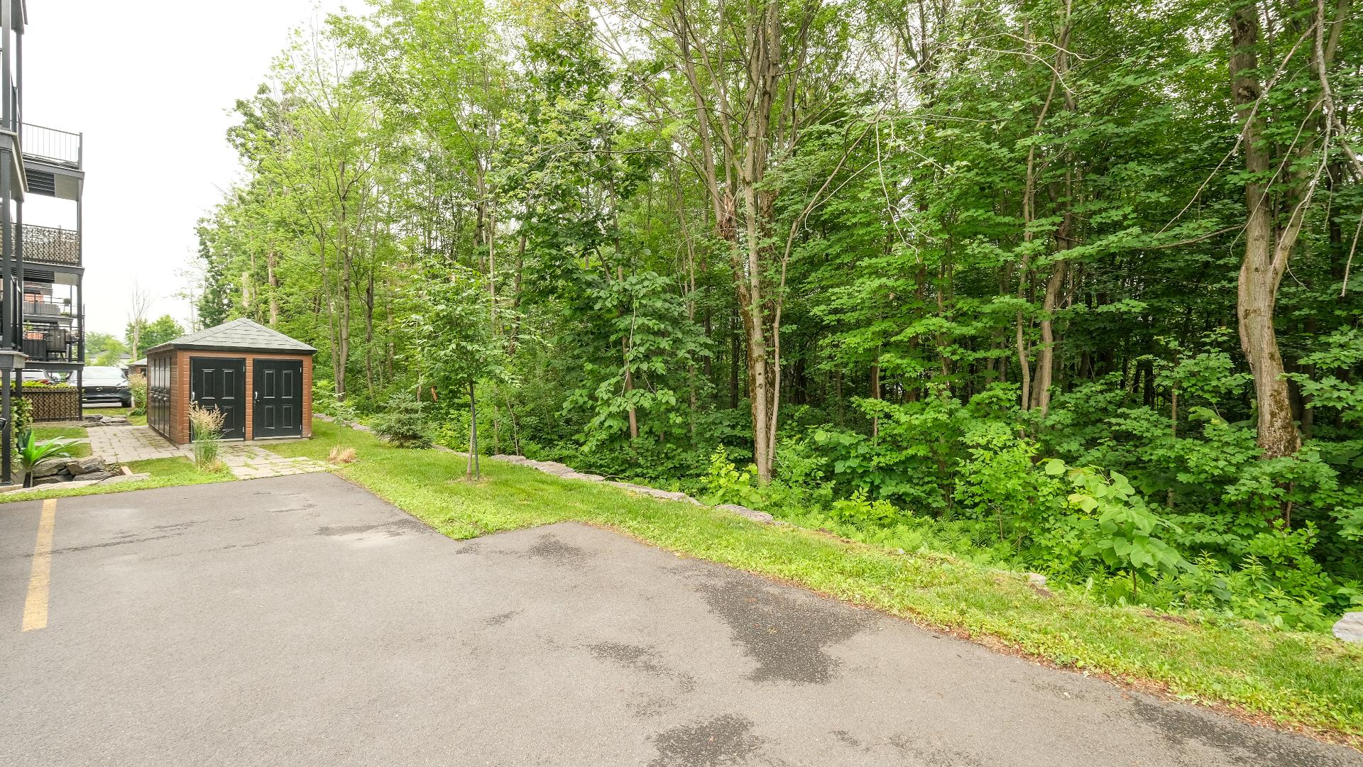 Wooded area