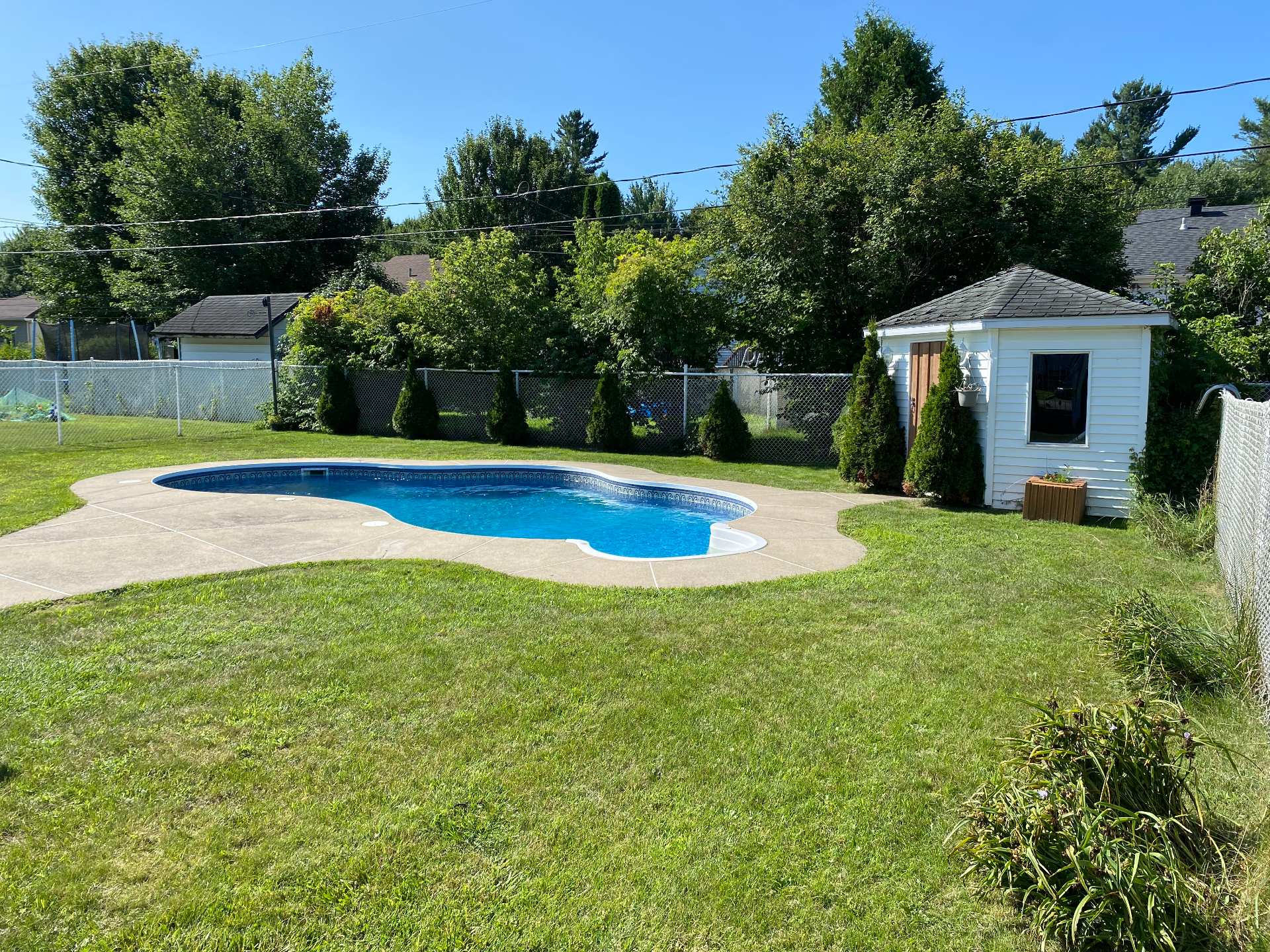 Backyard
