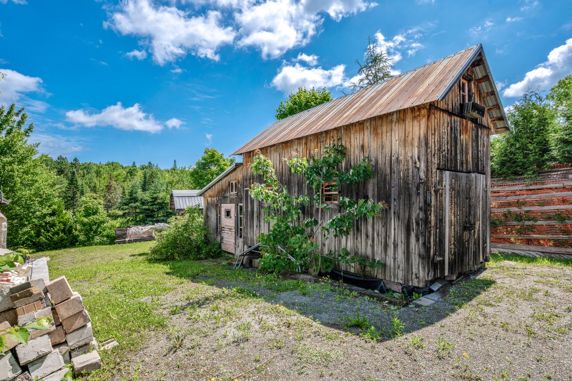 Shed