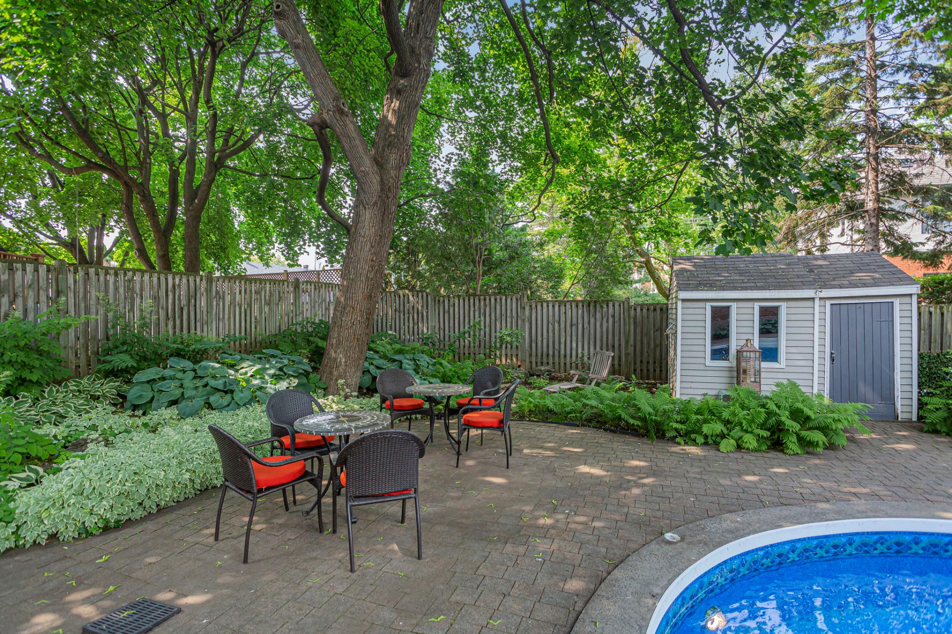 Backyard