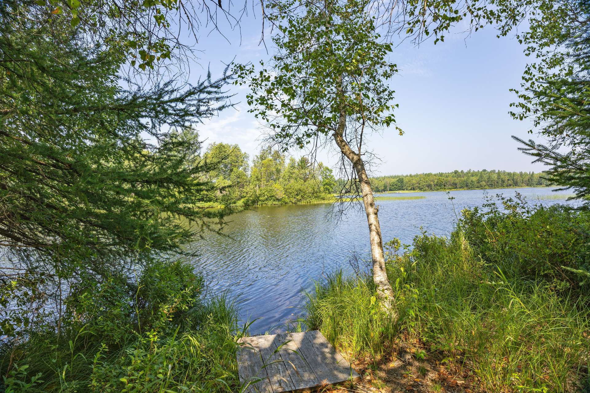 Photo - Bord de l'eau