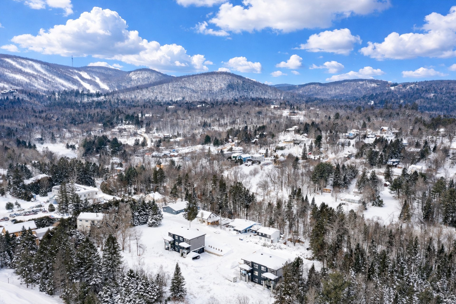 Photo - Aerial photo