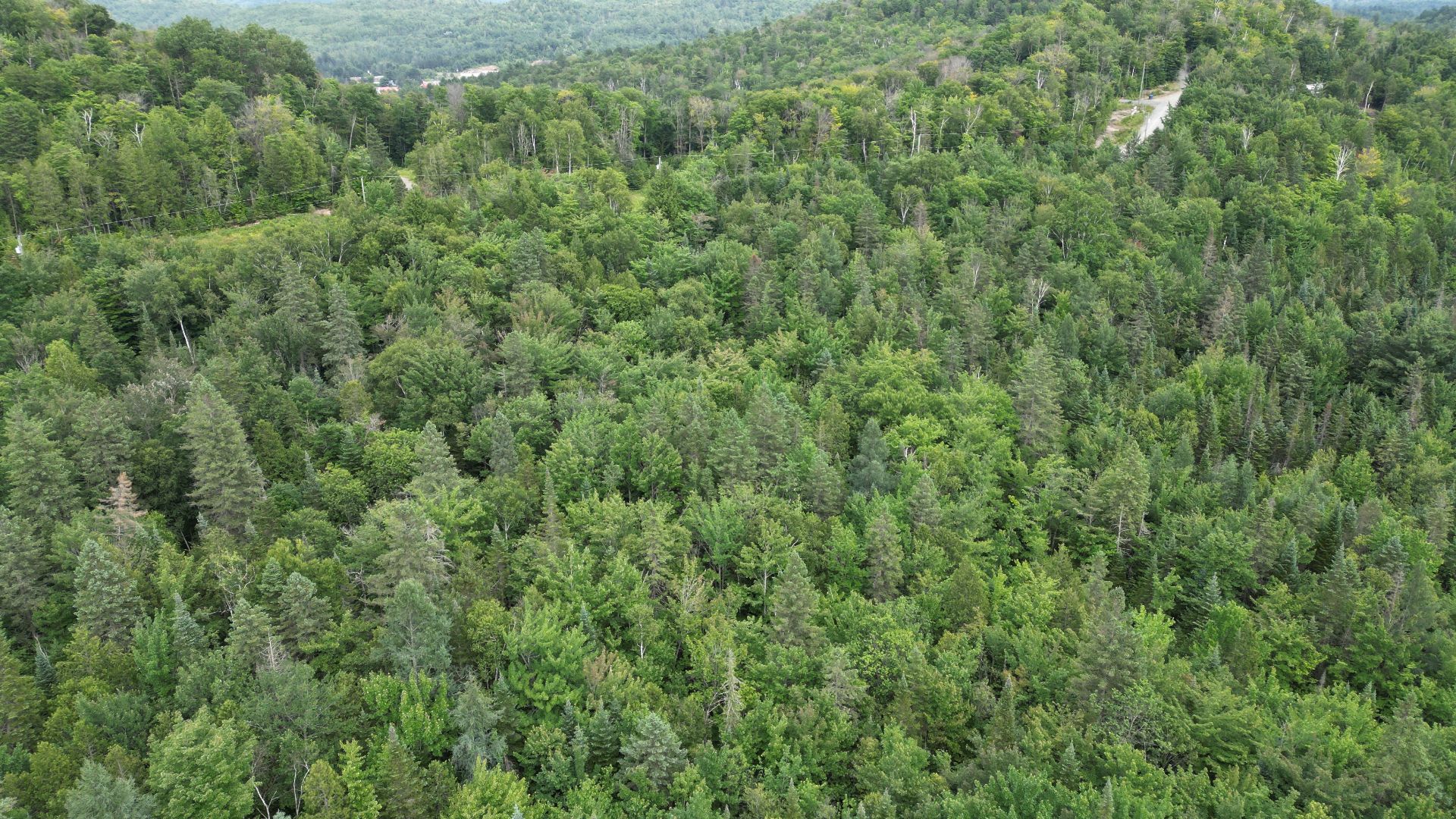 Photo - Terre/Terrain