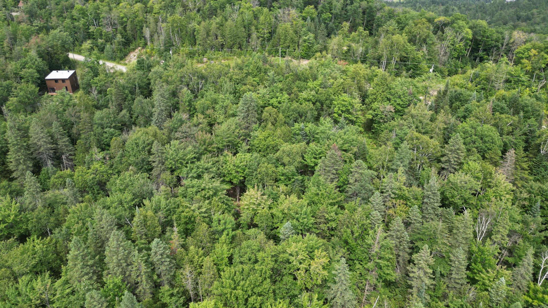 Photo - Terre/Terrain