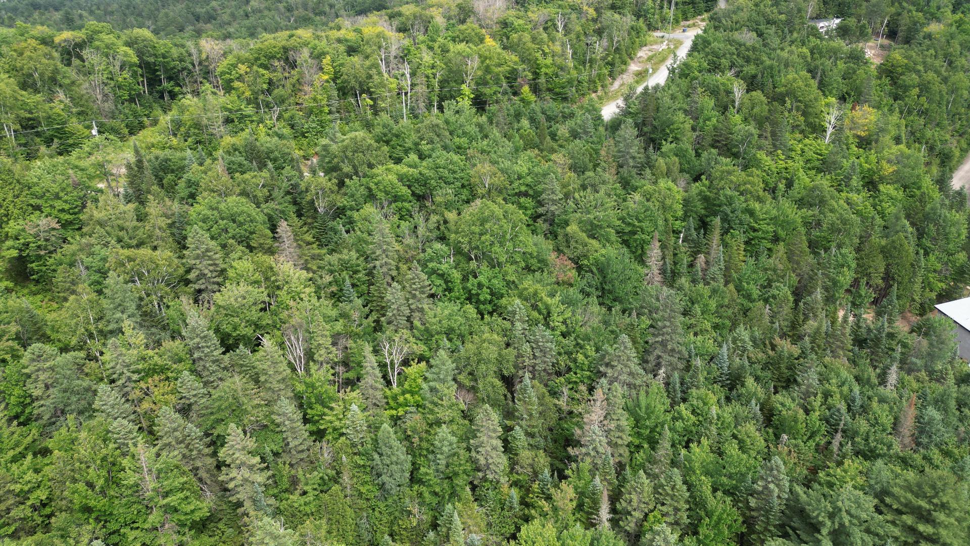 Photo - Terre/Terrain