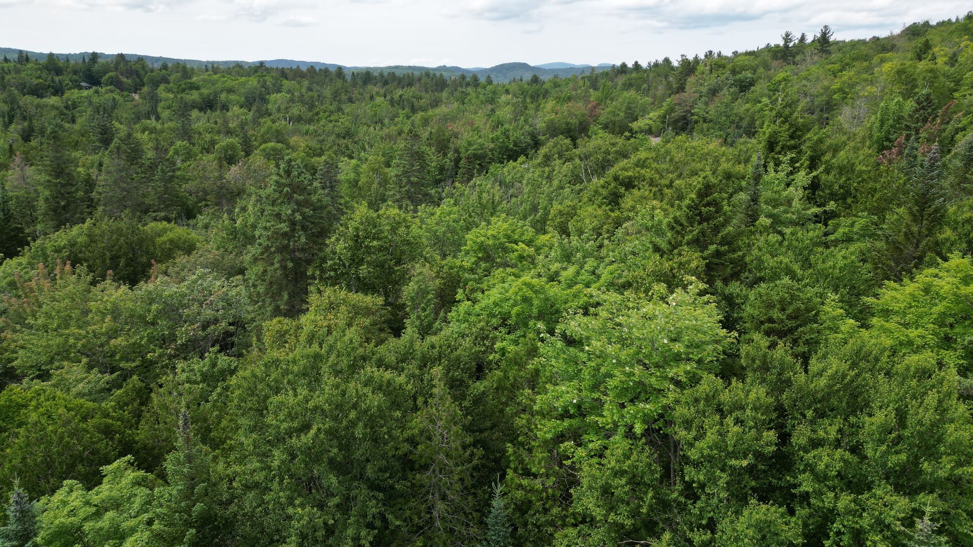 Photo - Terre/Terrain