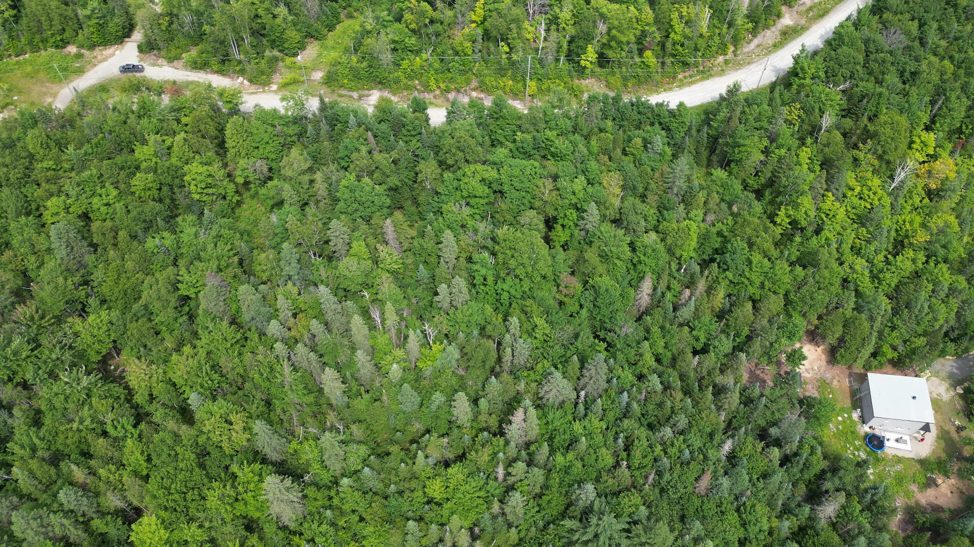 Photo - Terre/Terrain