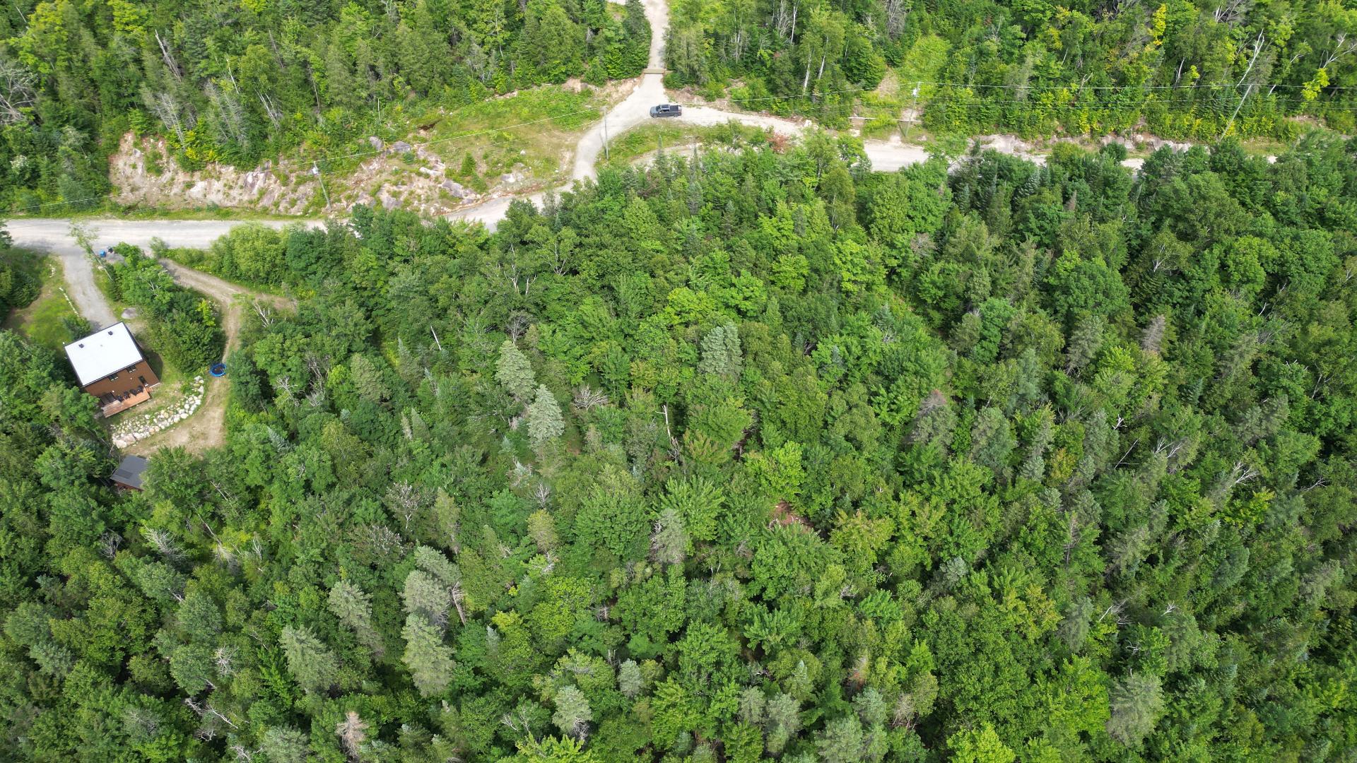 Photo - Terre/Terrain