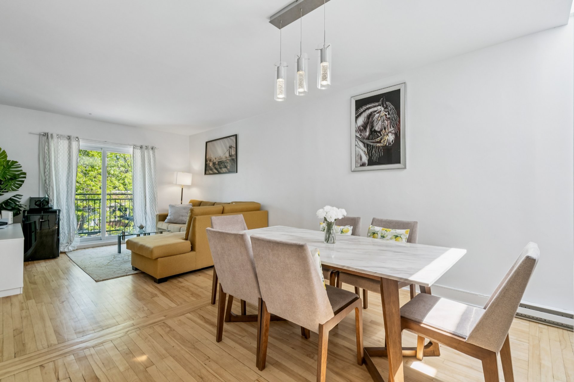 Photo - Salle à manger