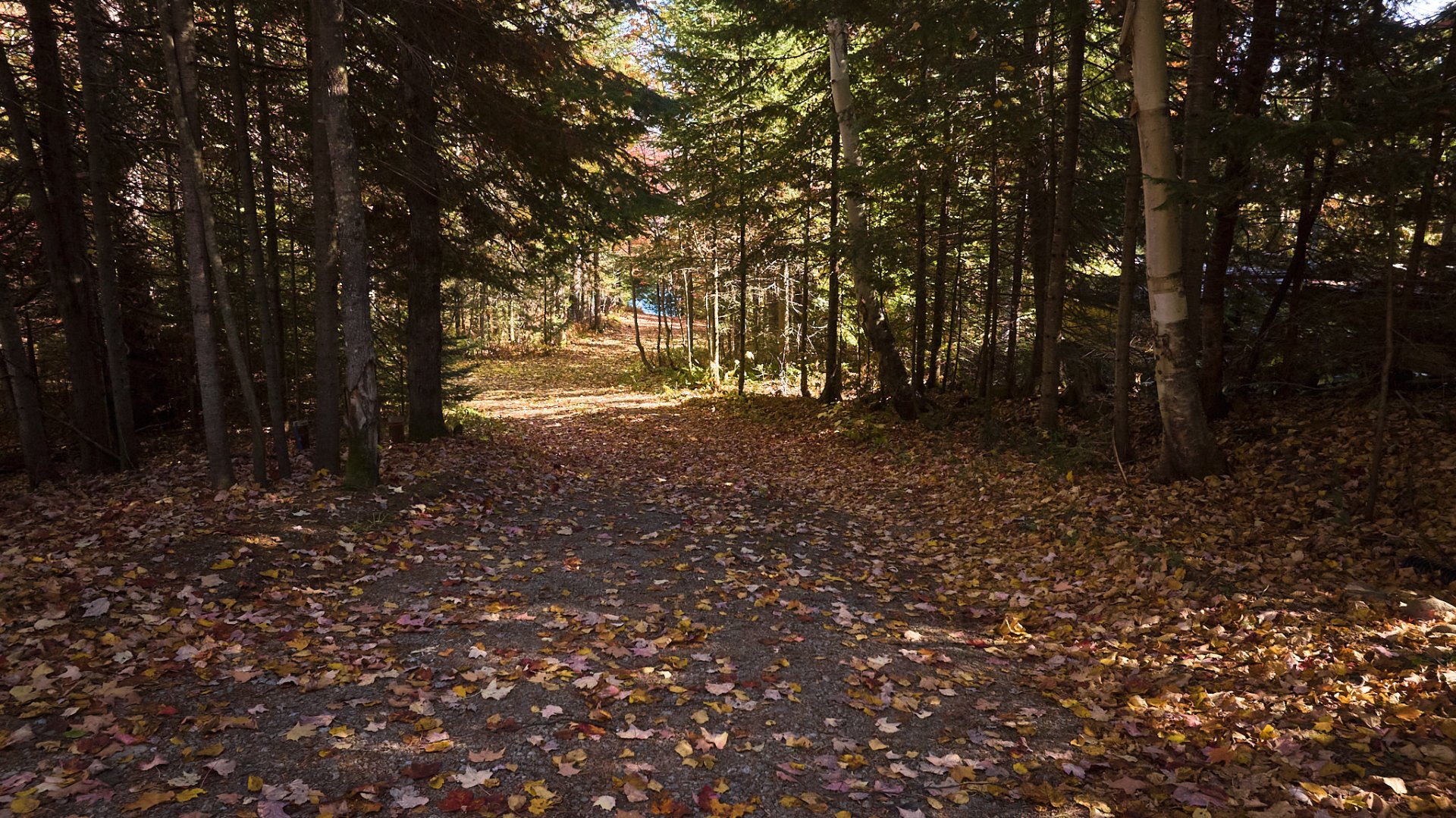 Accès au plan d'eau
