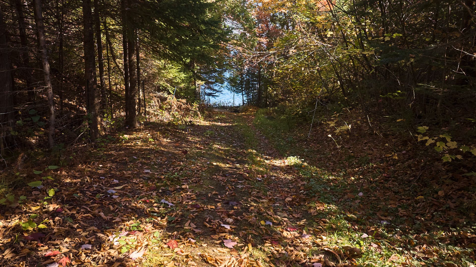Accès au plan d'eau