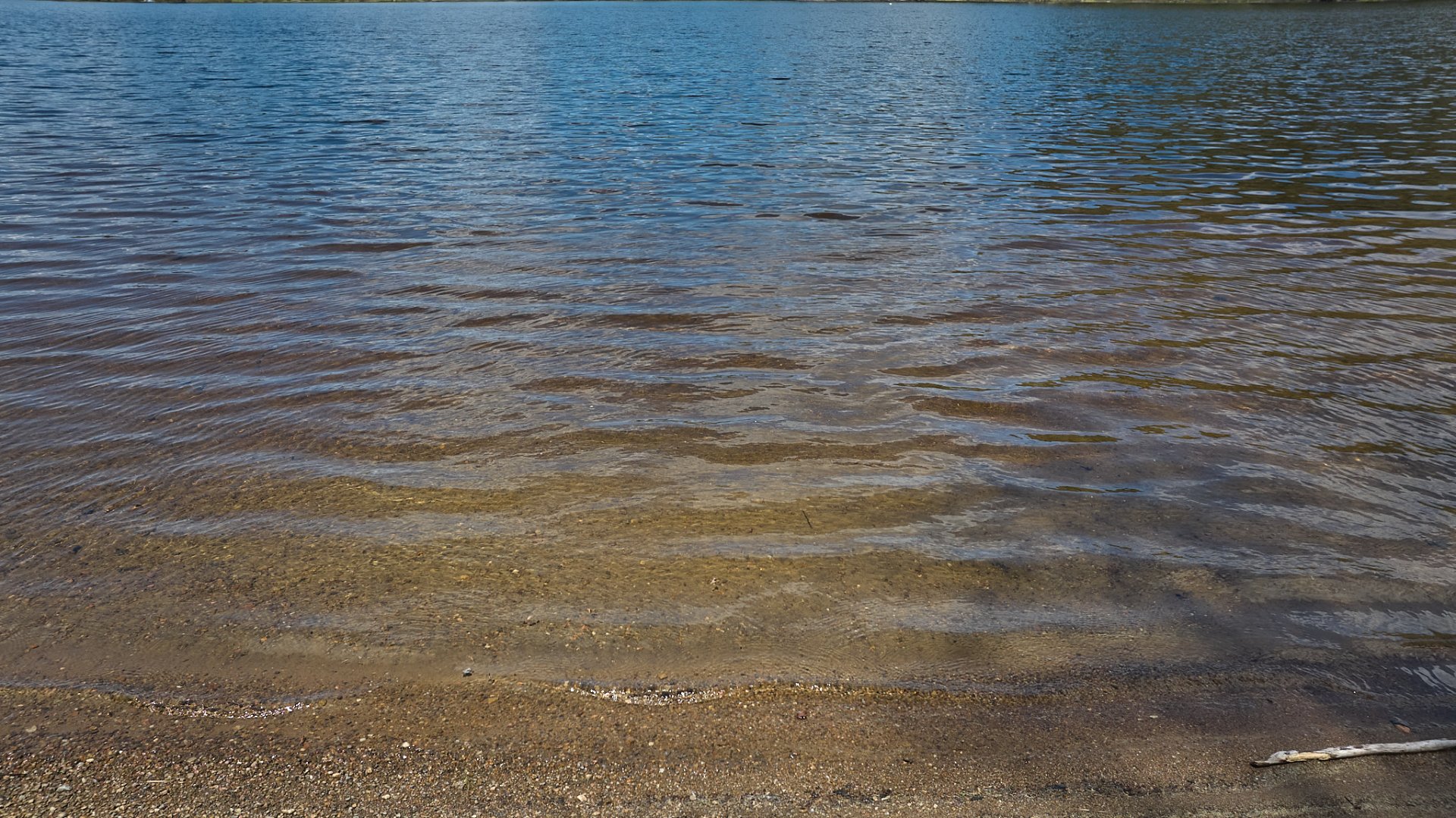 Bord de l'eau