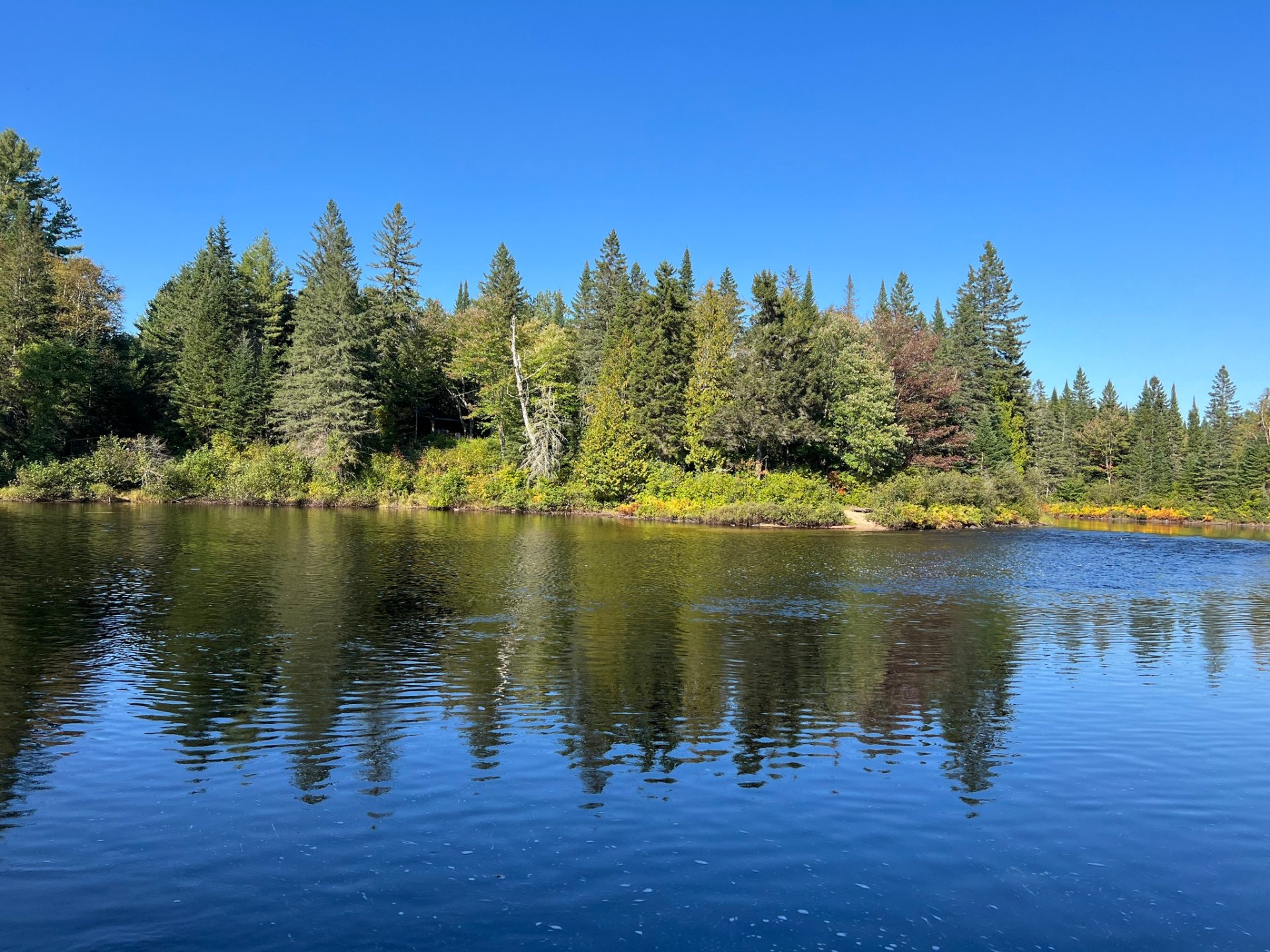 Bord de l'eau