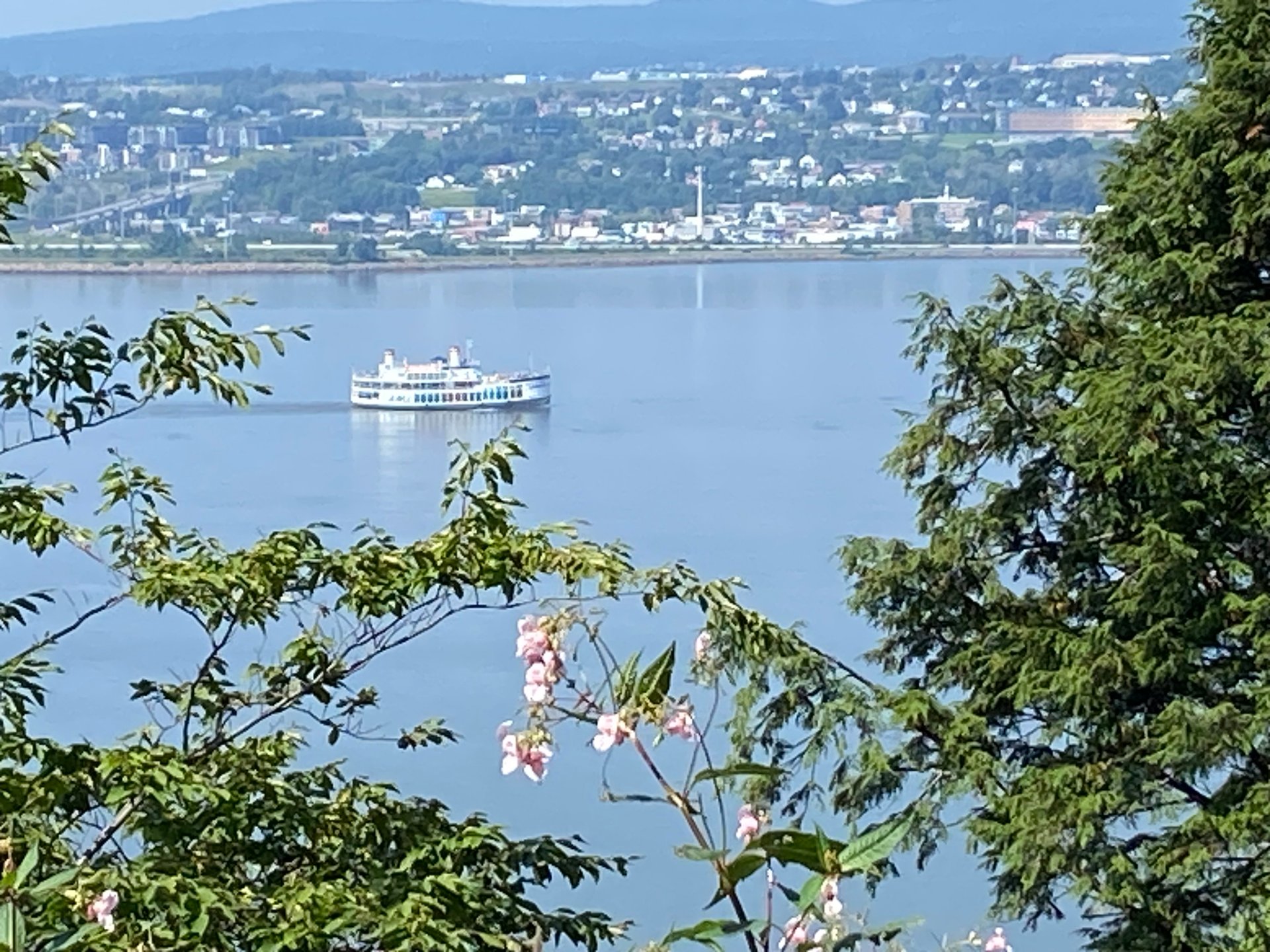 Vue sur l'eau
