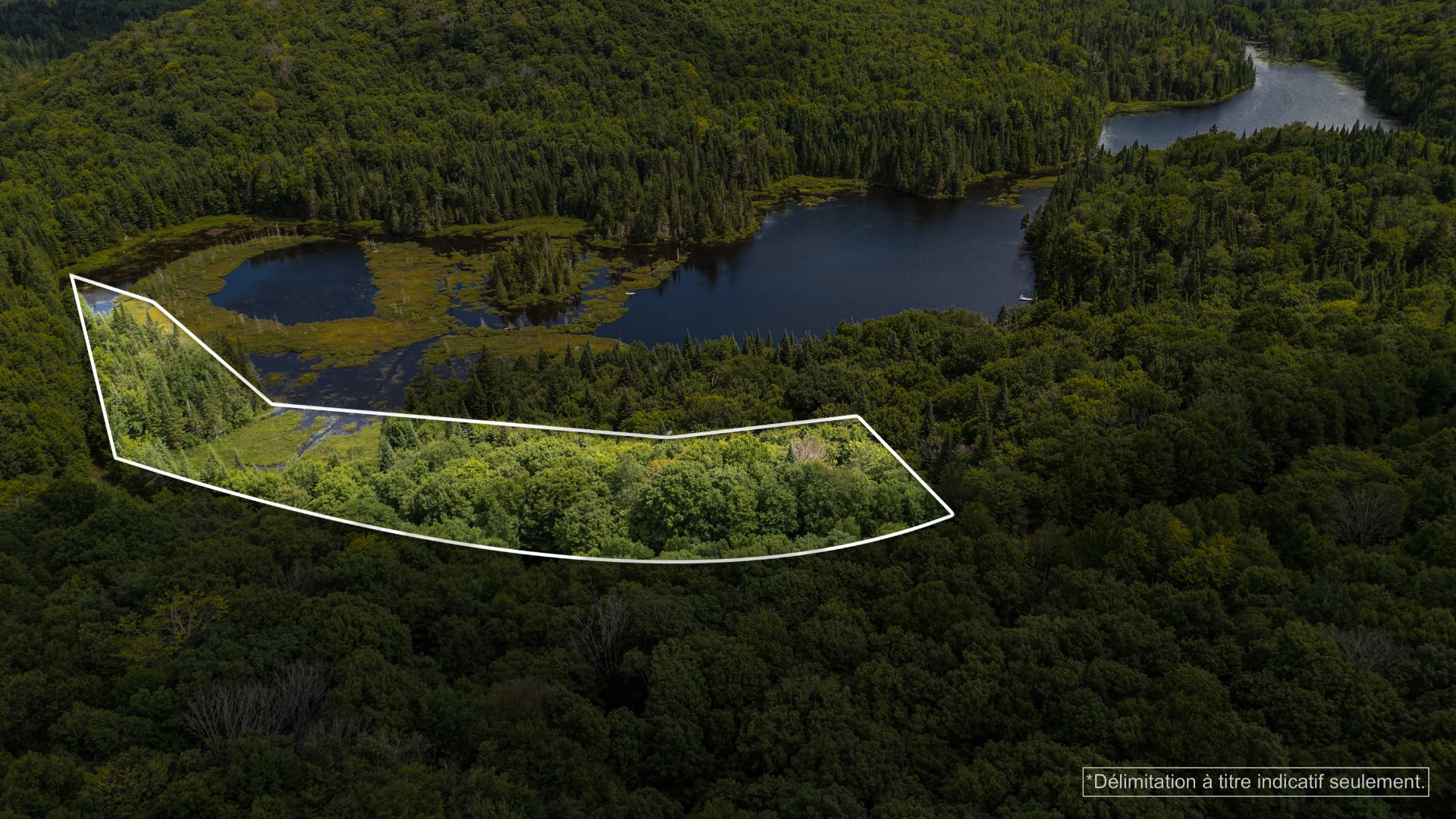 Photo - Aerial photo