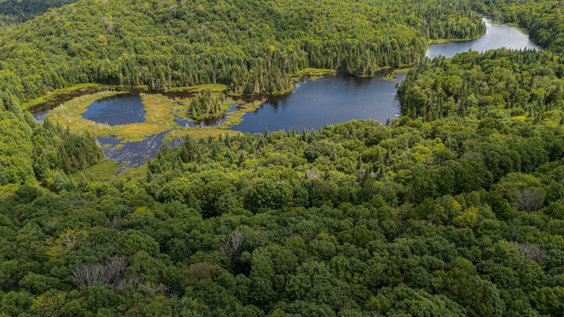 Photo - Aerial photo