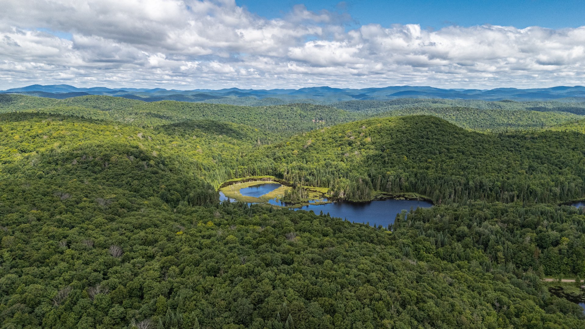 Photo - Aerial photo