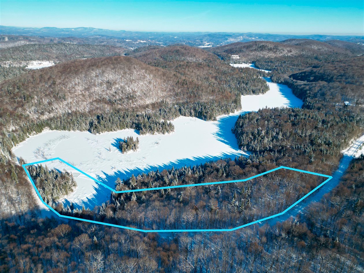 Photo - Aerial photo