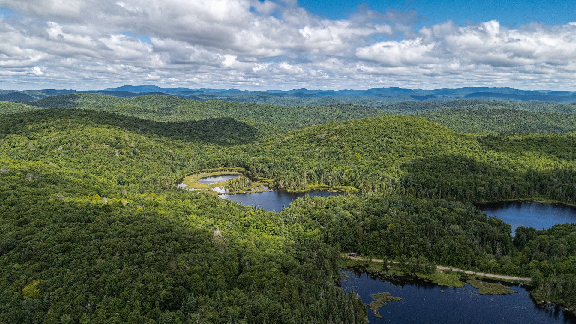 Photo - Aerial photo