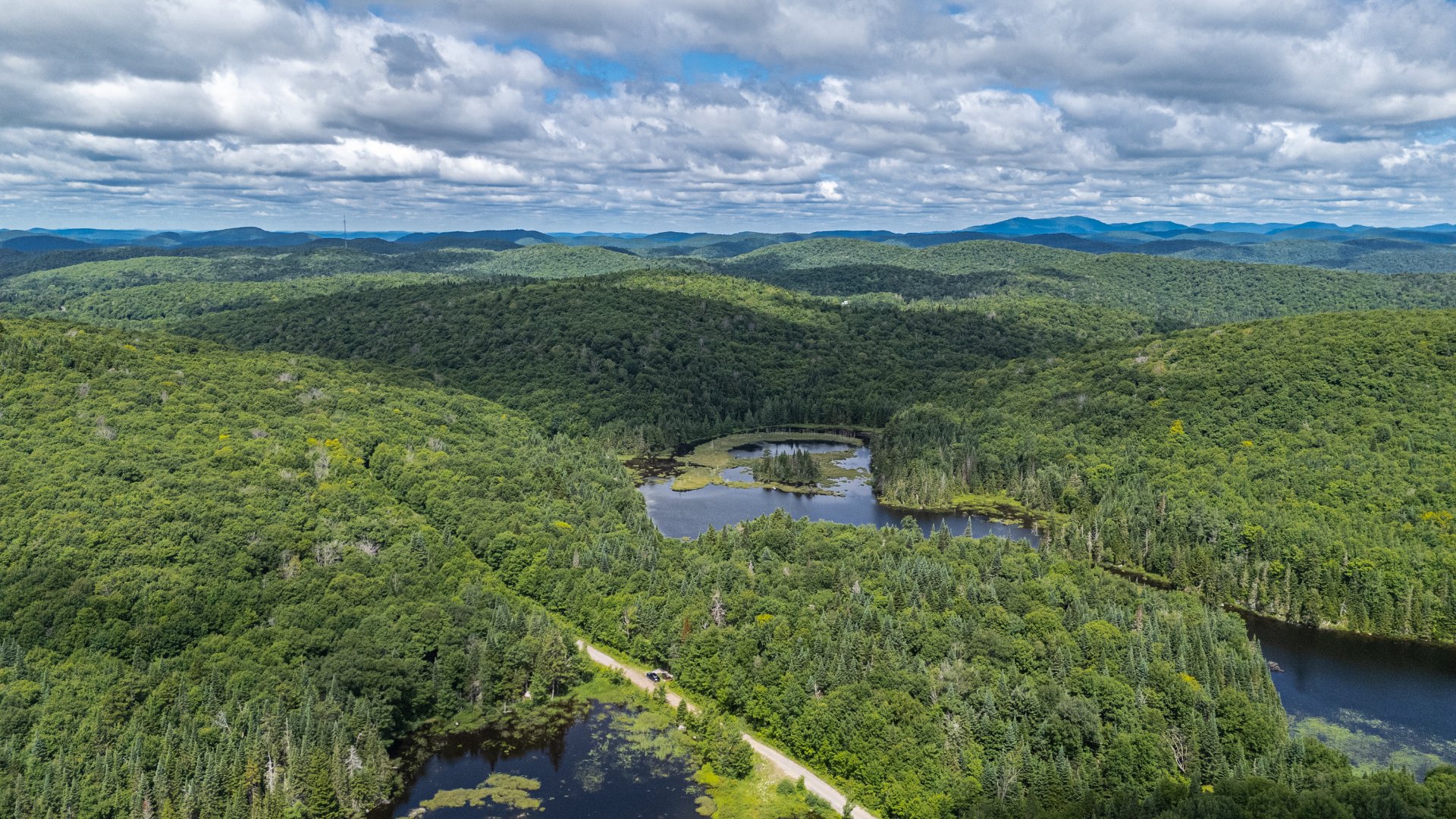 Photo - Aerial photo