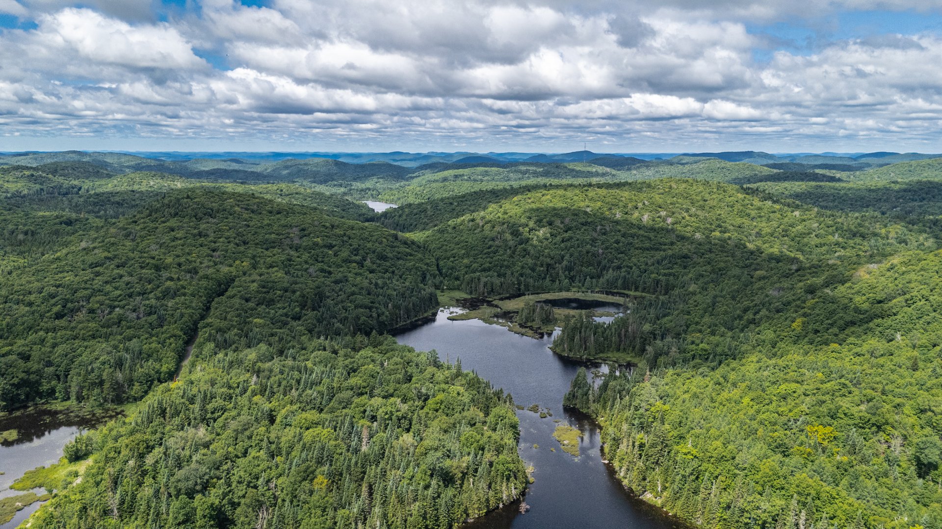 Photo - Aerial photo