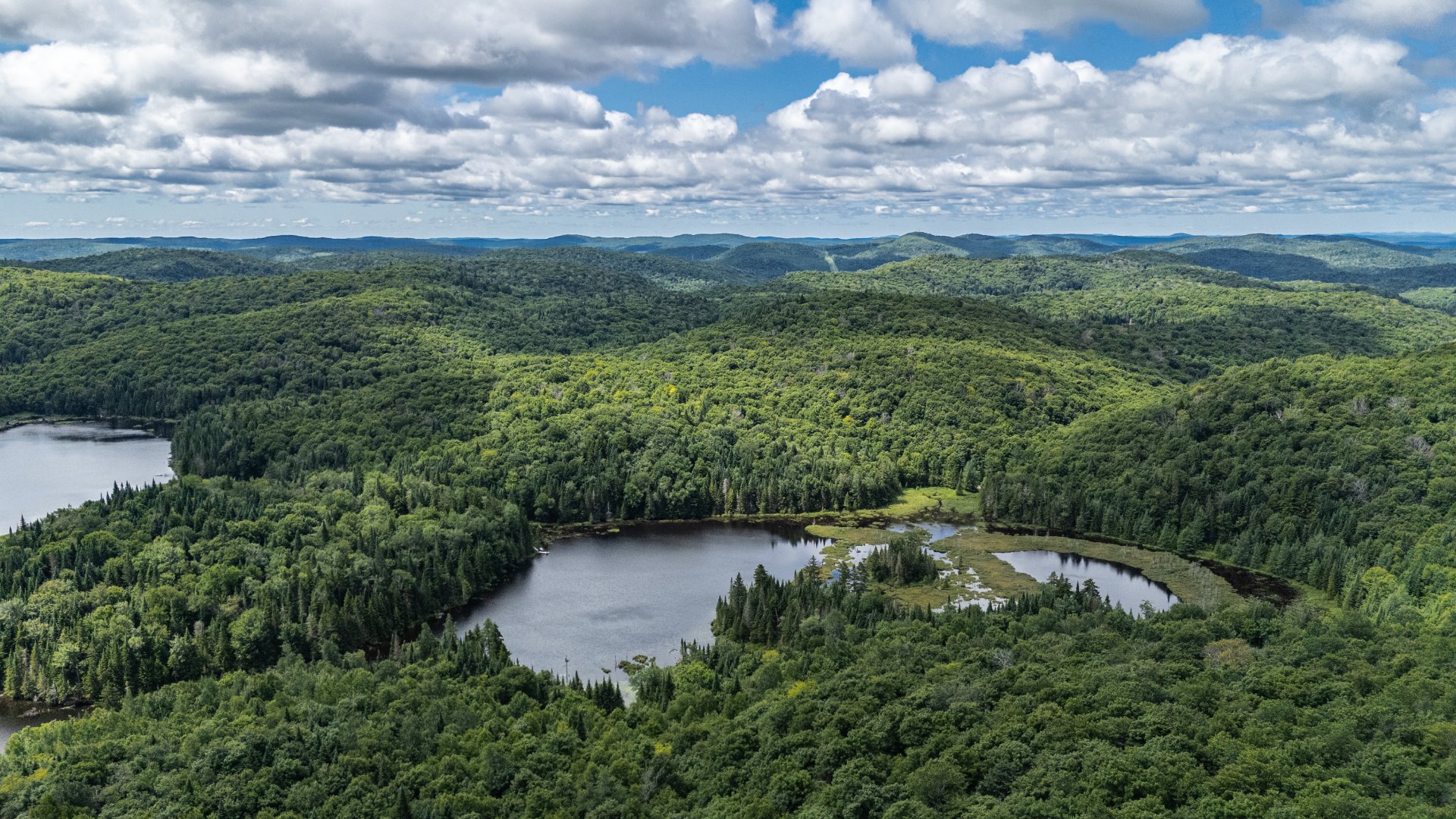 Photo - Aerial photo
