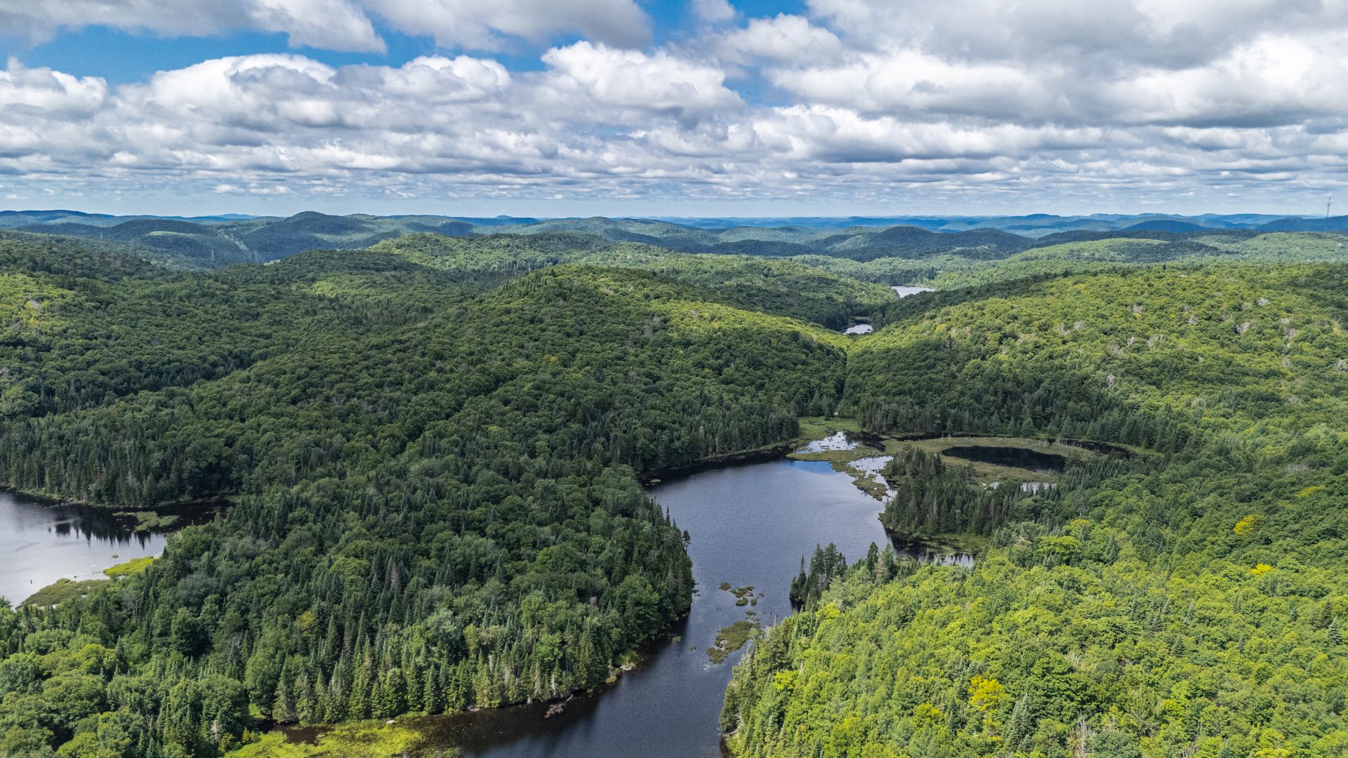 Photo - Aerial photo