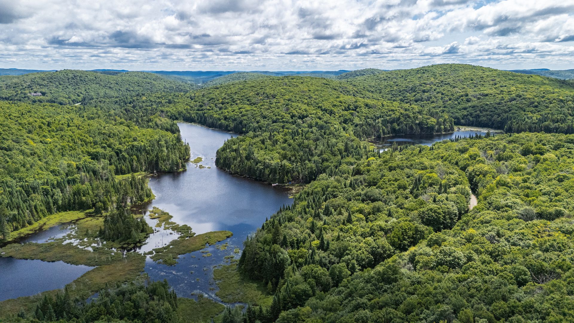 Photo - Aerial photo