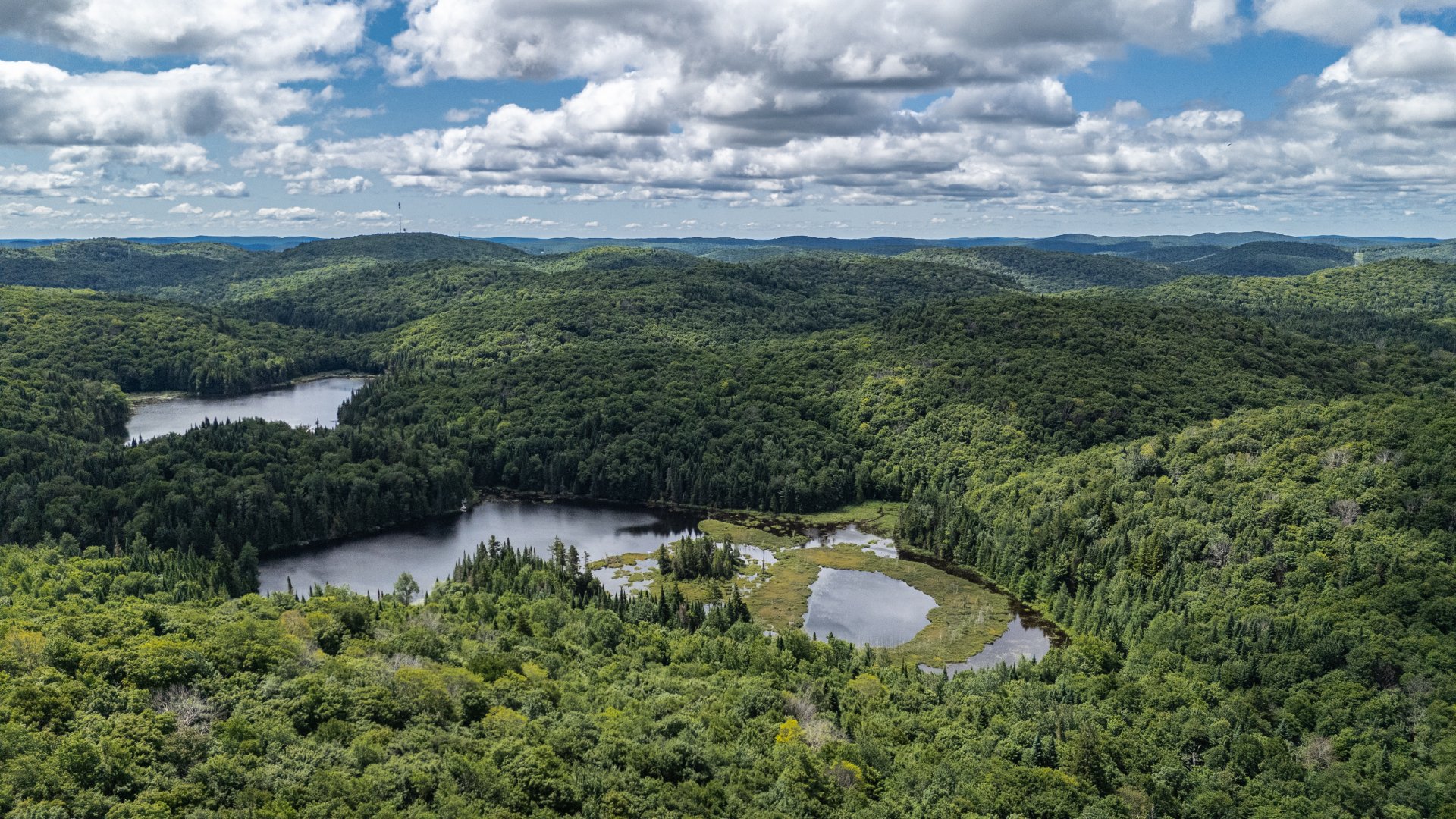Photo - Aerial photo