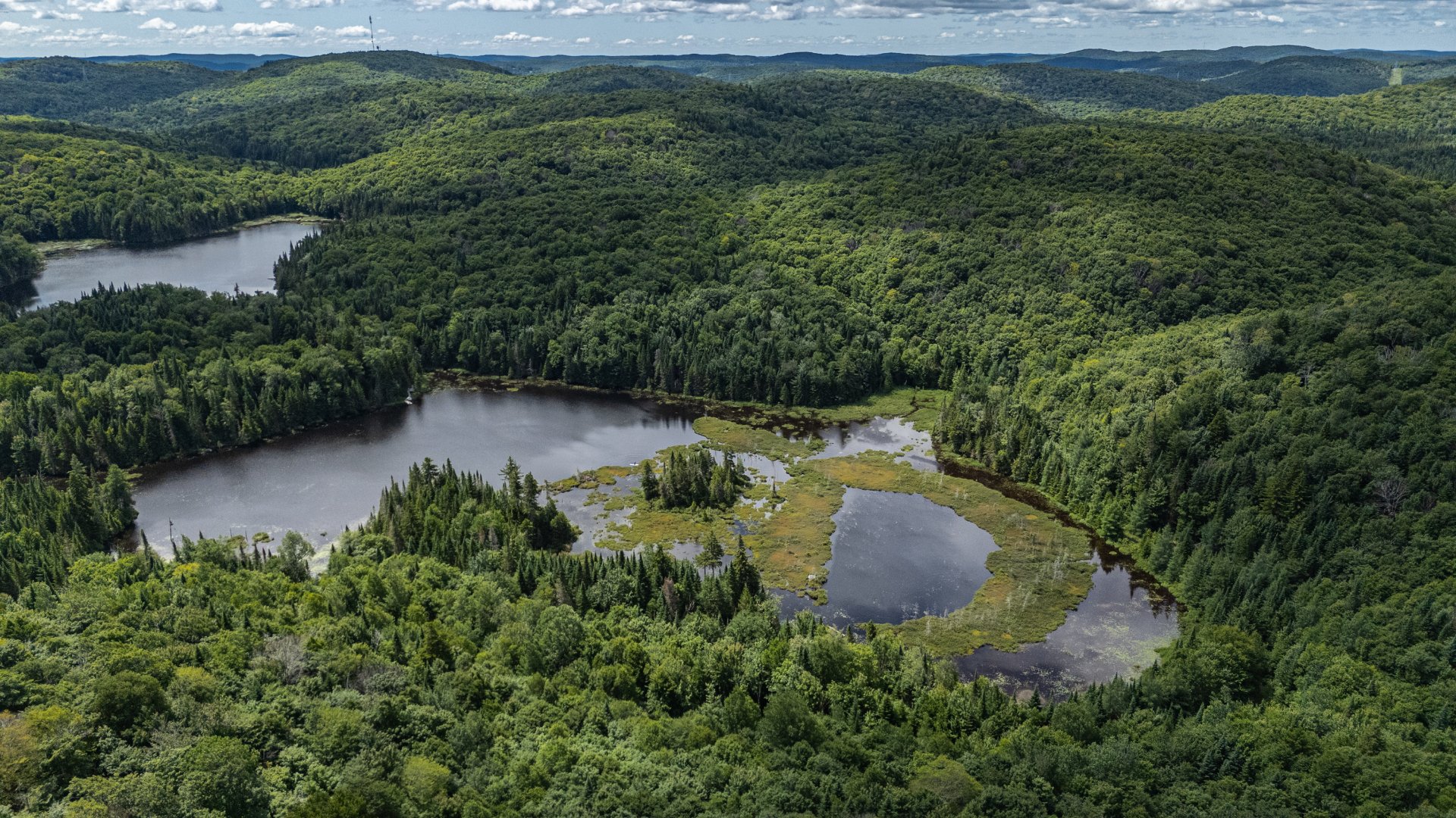 Photo - Aerial photo