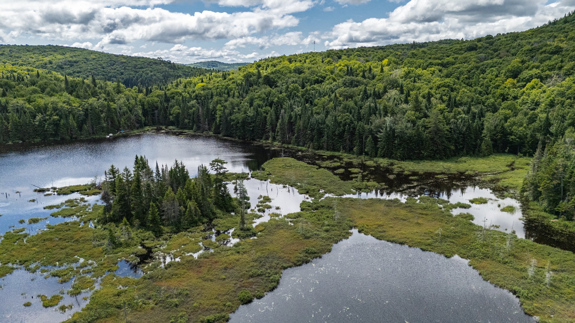 Photo - Aerial photo