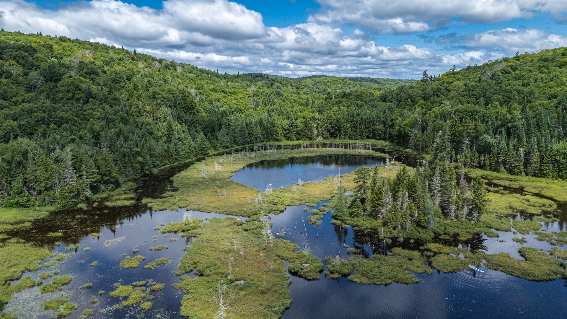 Photo - Aerial photo