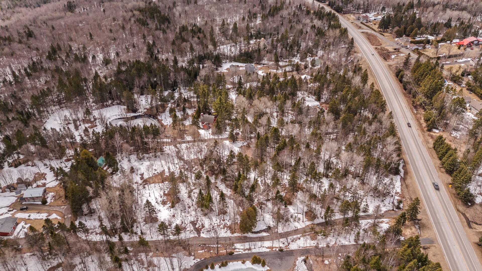 Overall View