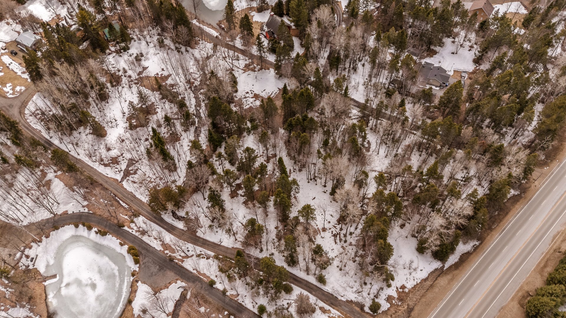 Overall View