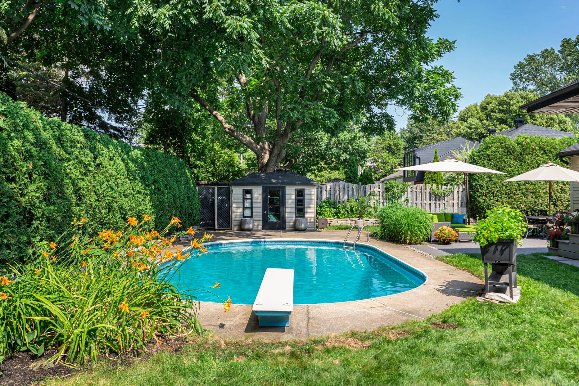 Backyard