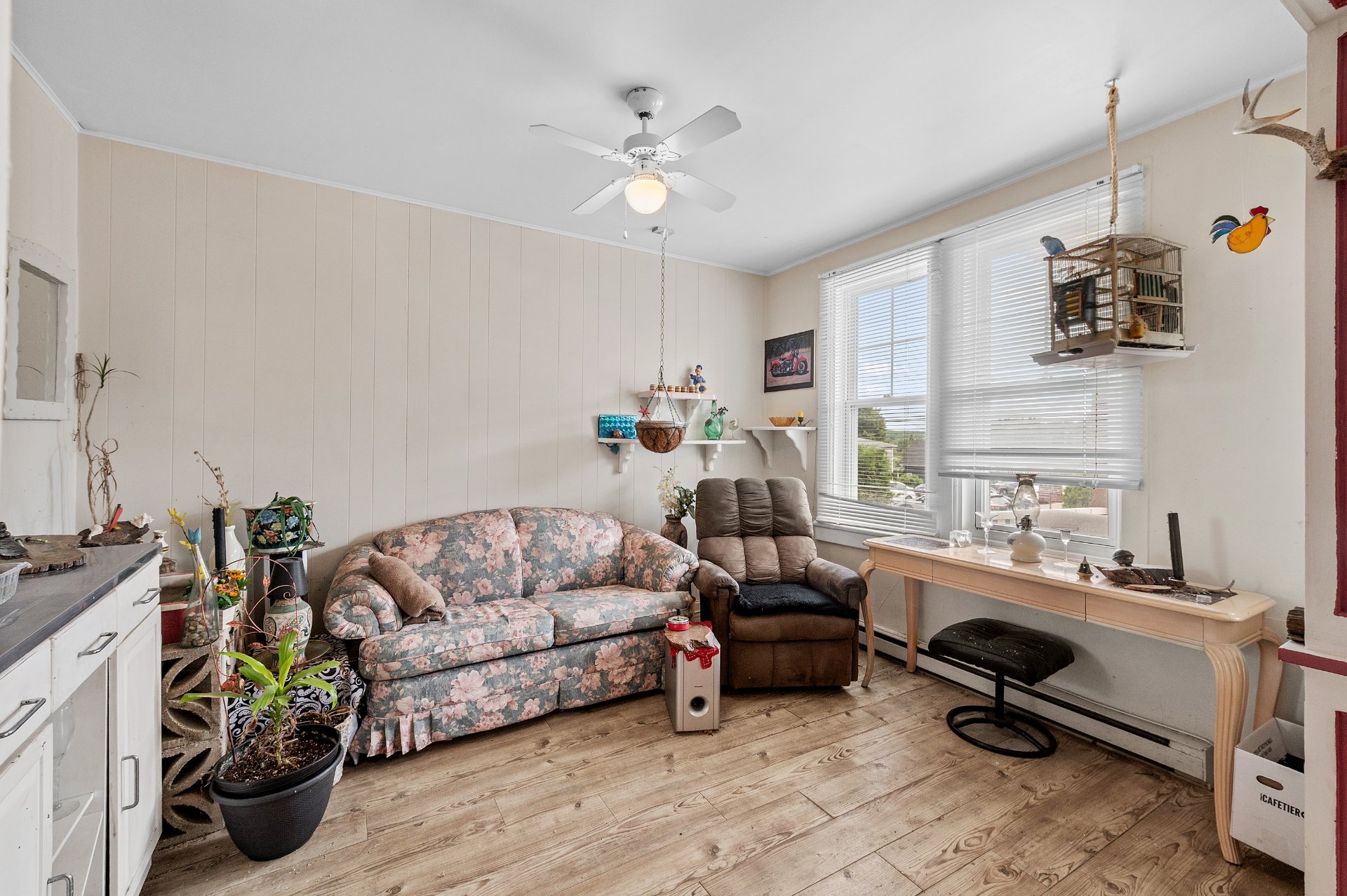 Photo - Salon