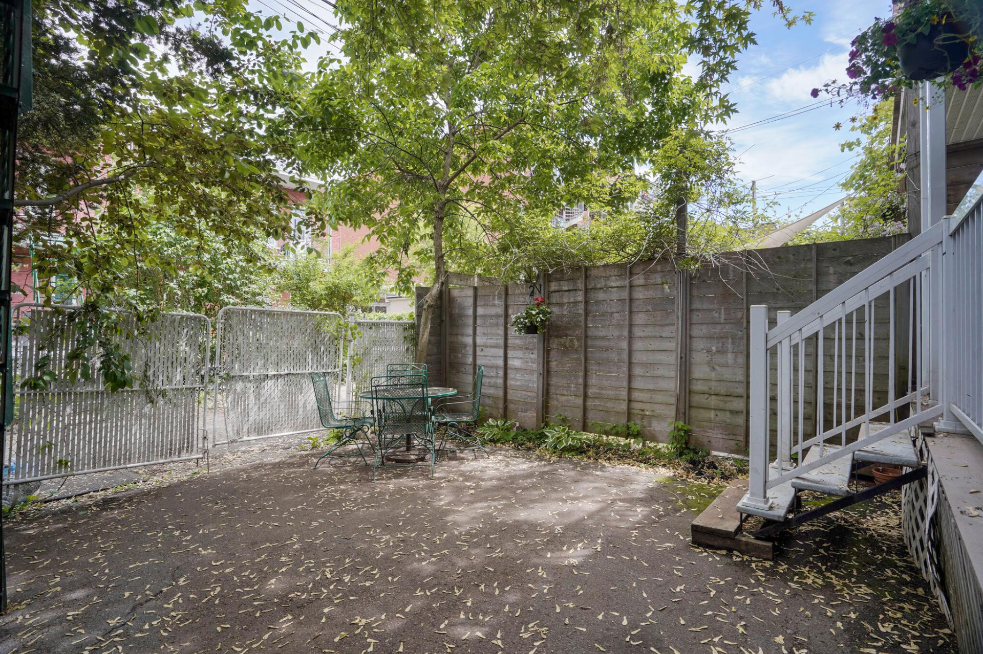 Photo - Backyard