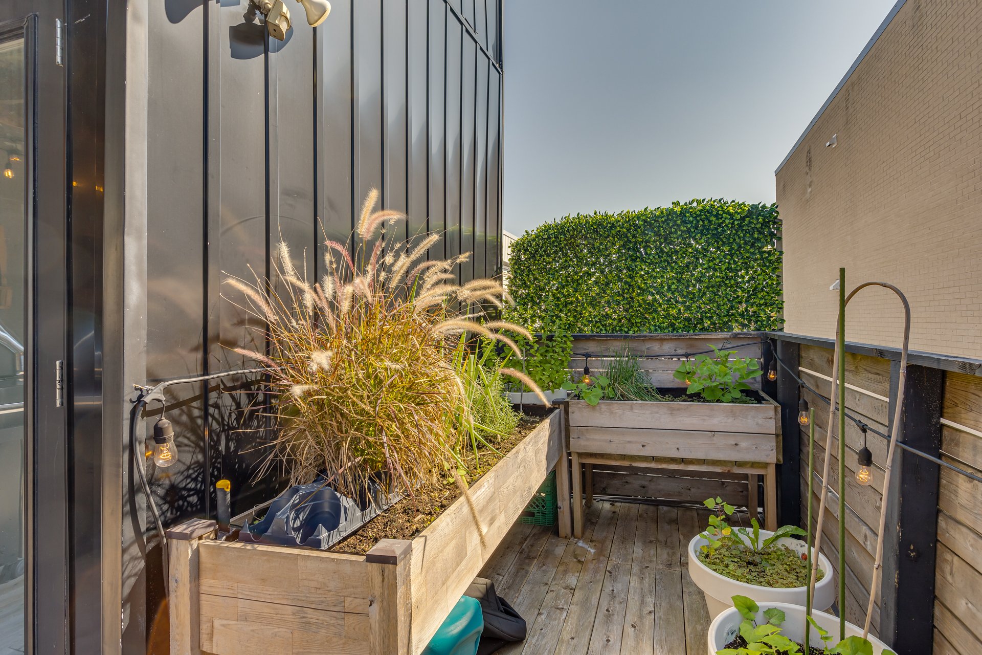 Photo - Patio
