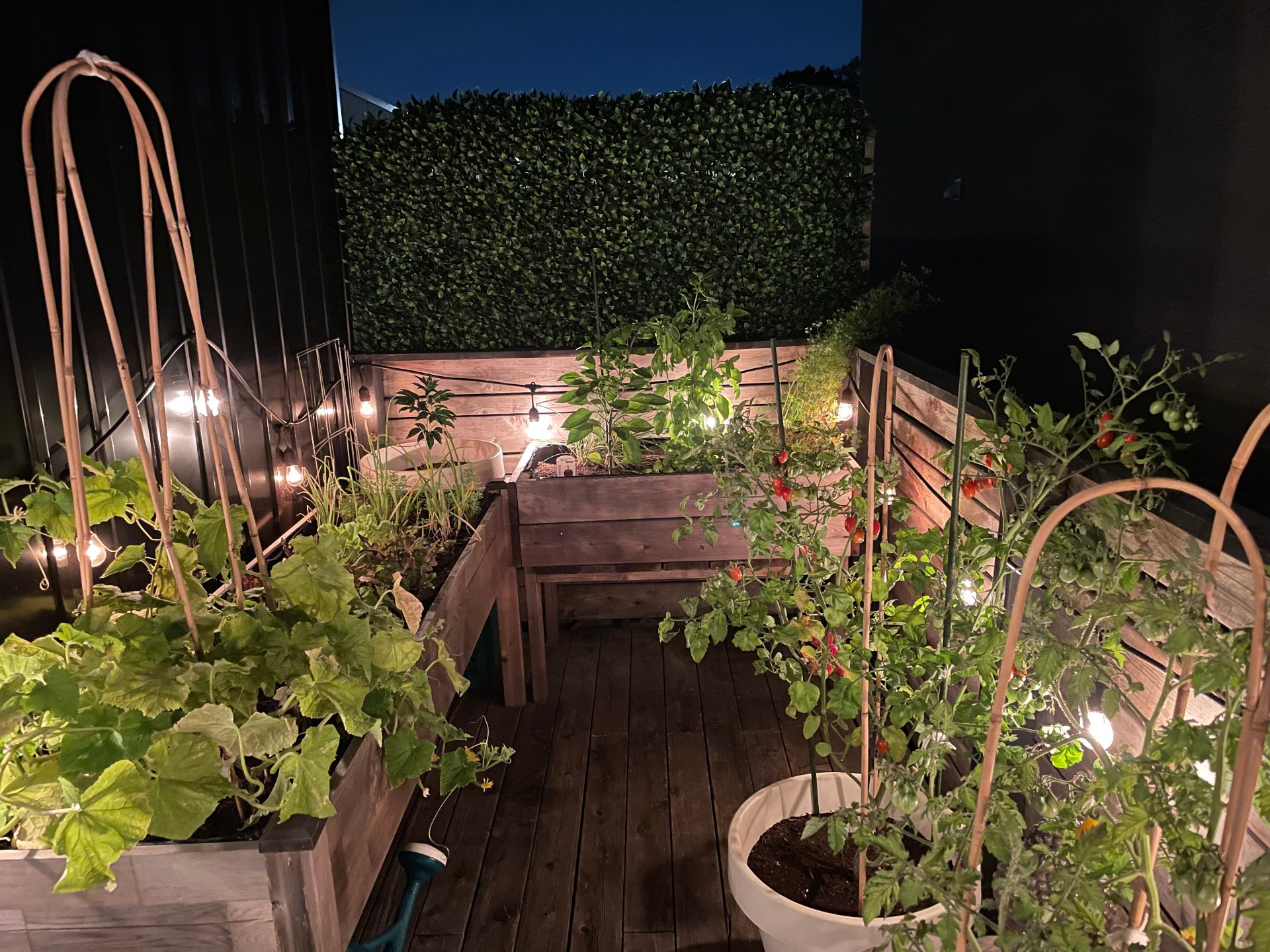 Photo - Patio