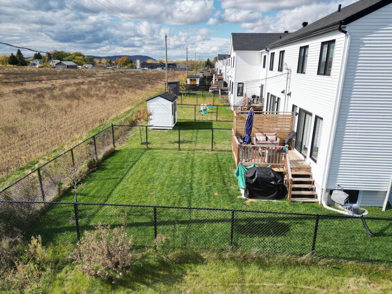 Photo - Backyard