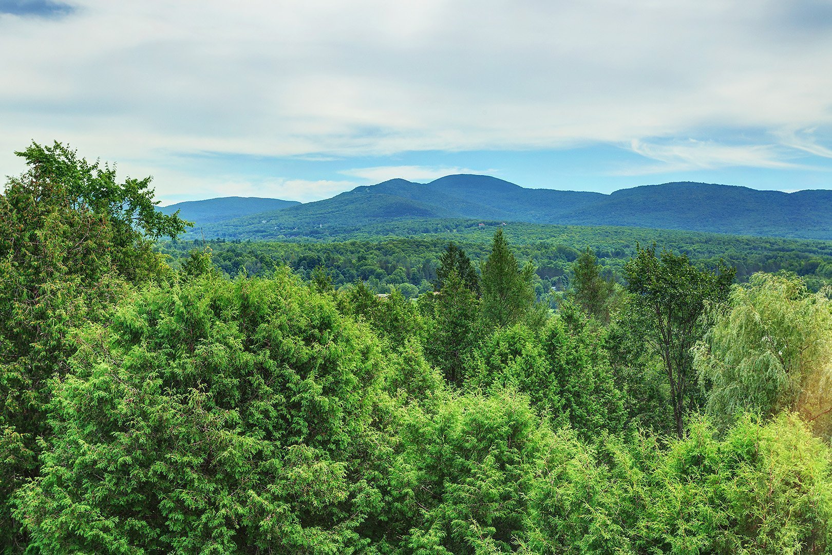 Vue
