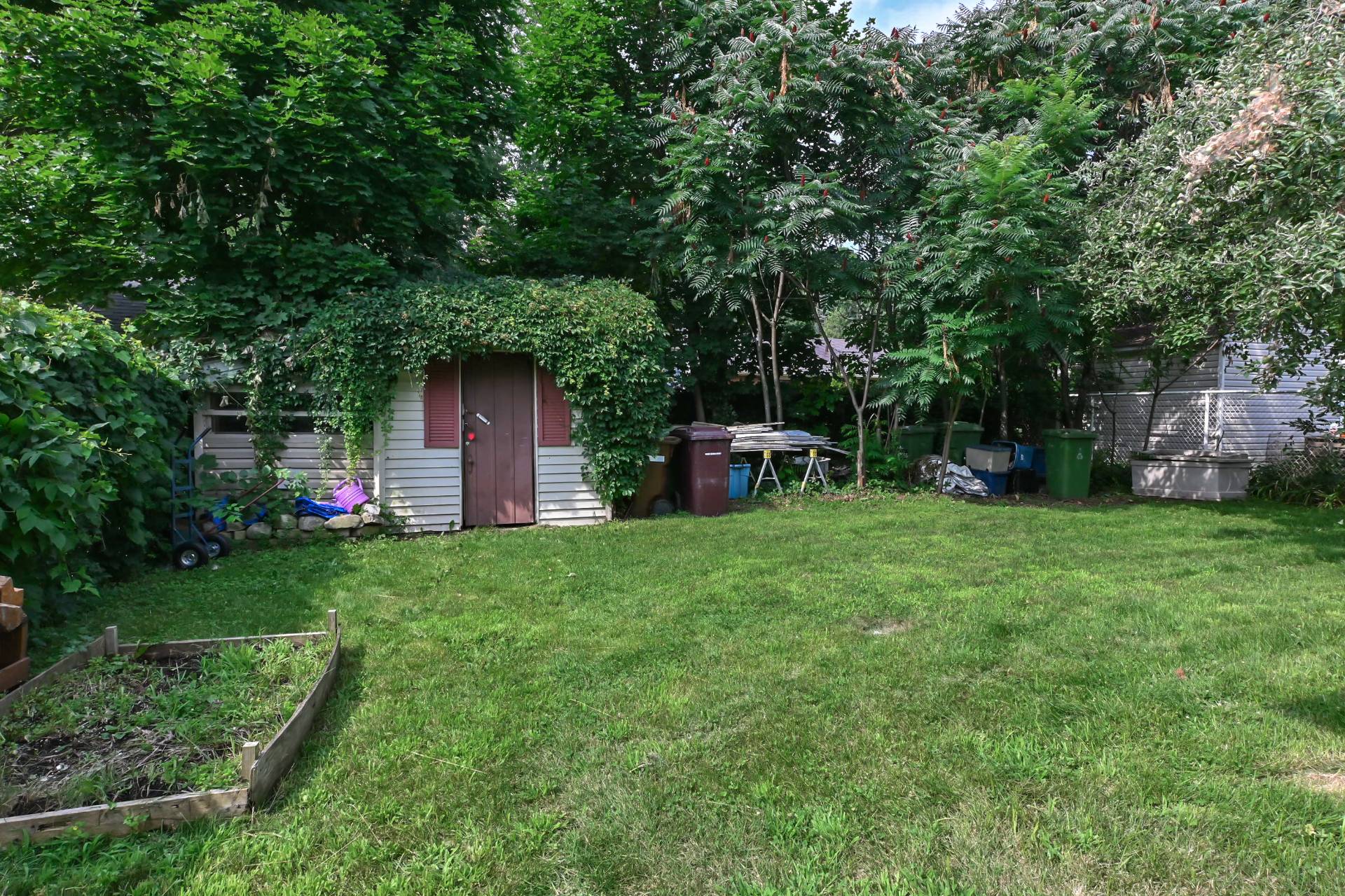 Backyard