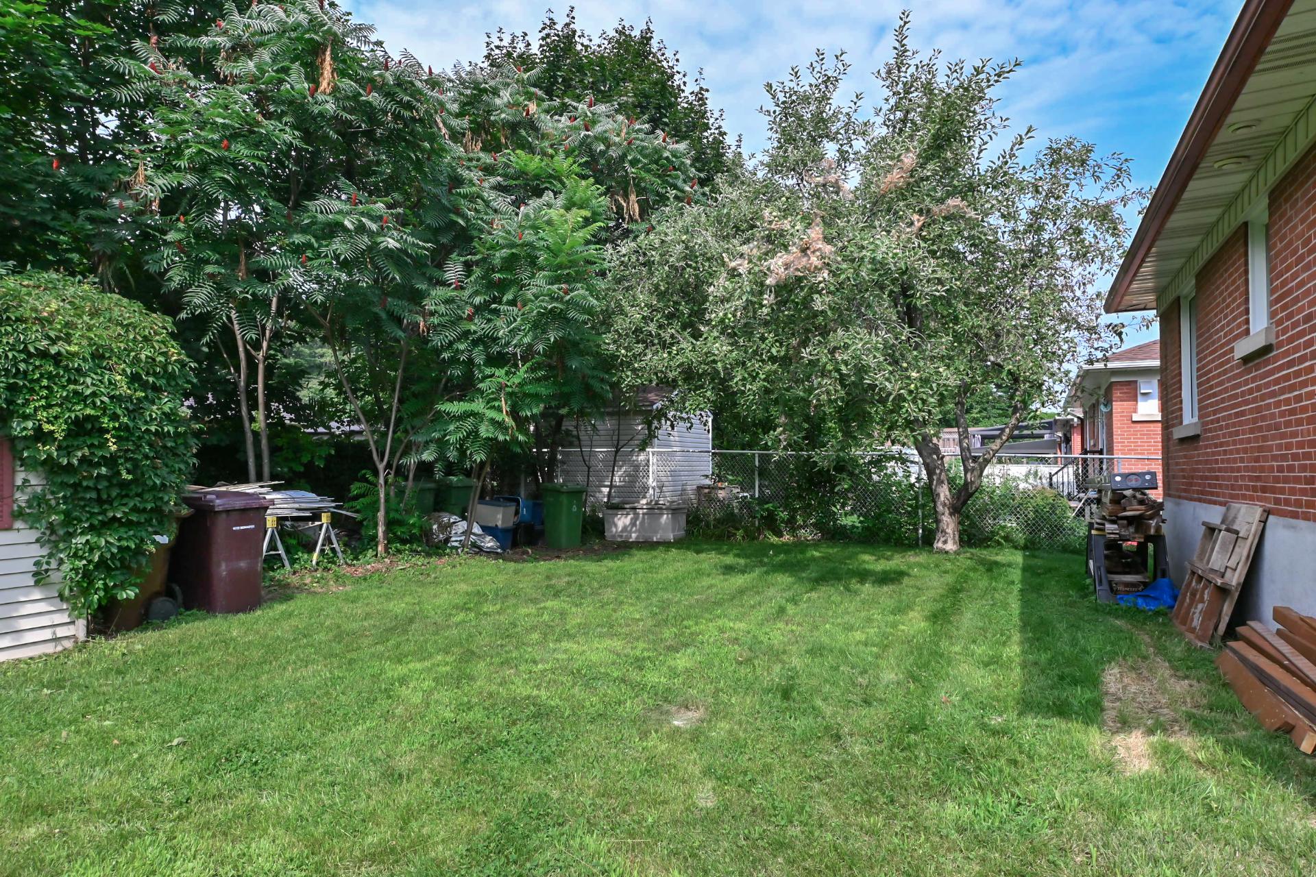 Backyard