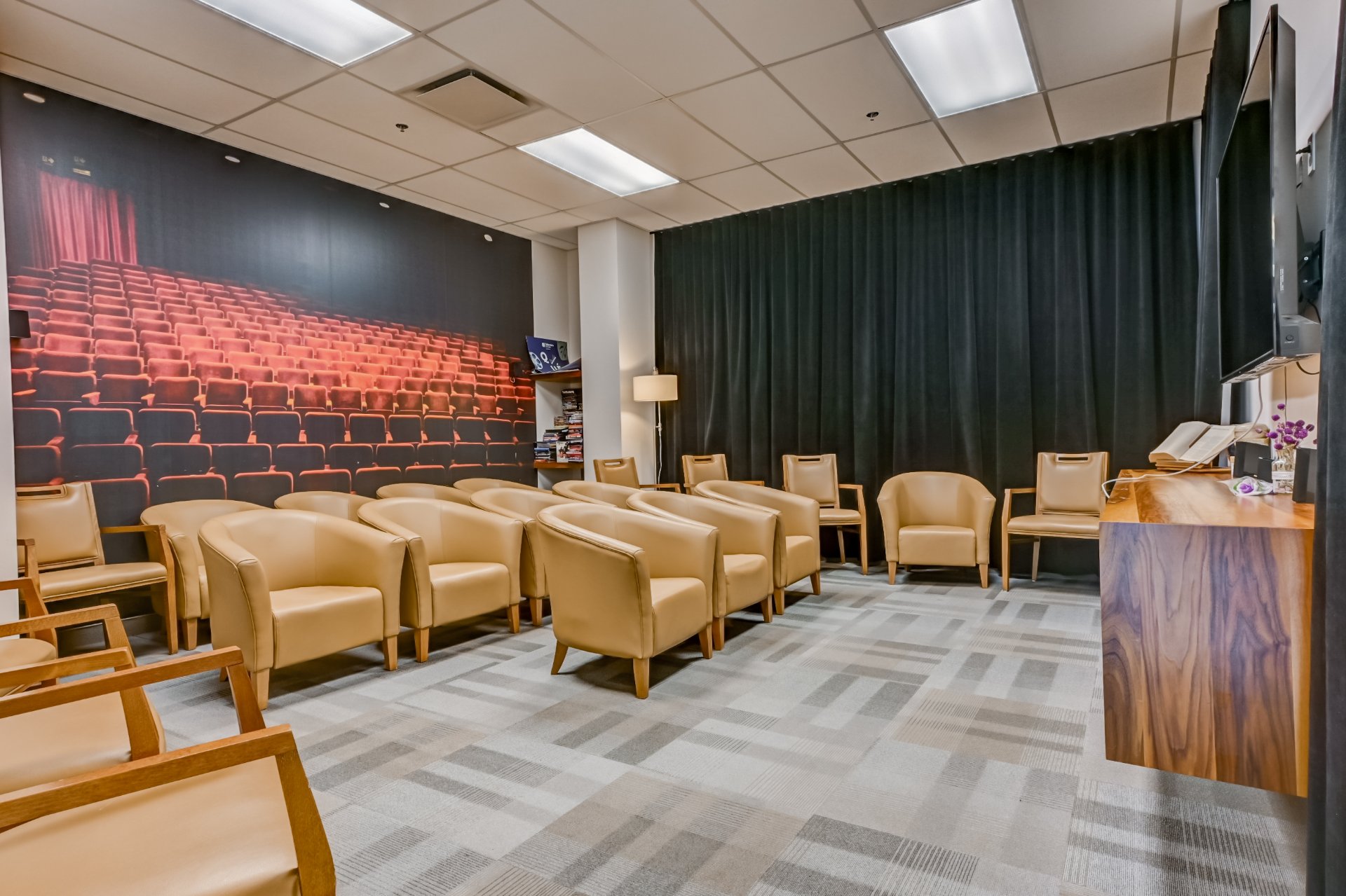 Home theatre