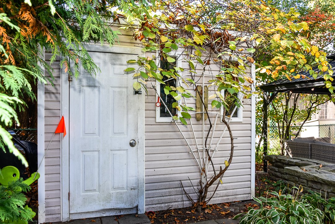 Shed