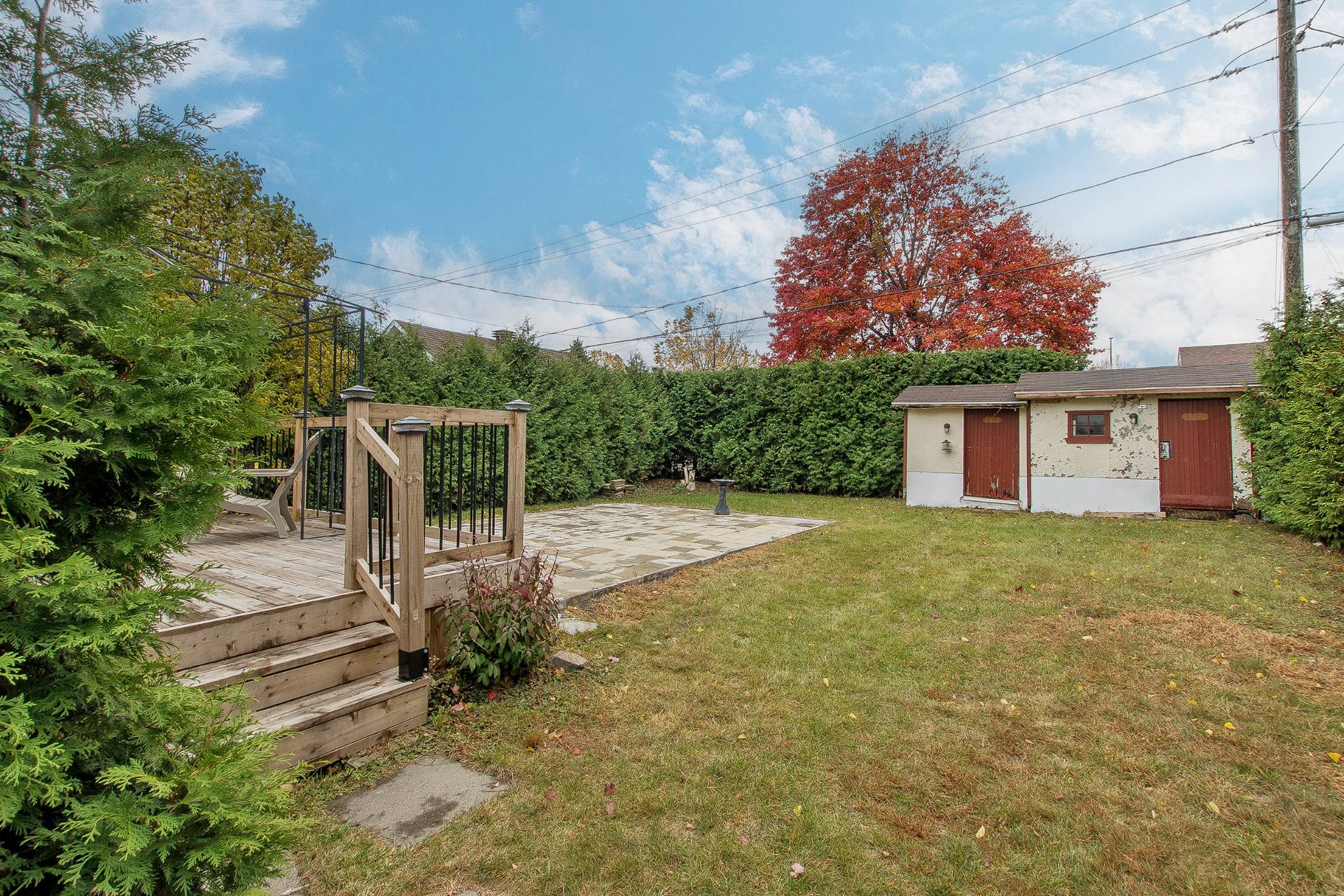 Backyard