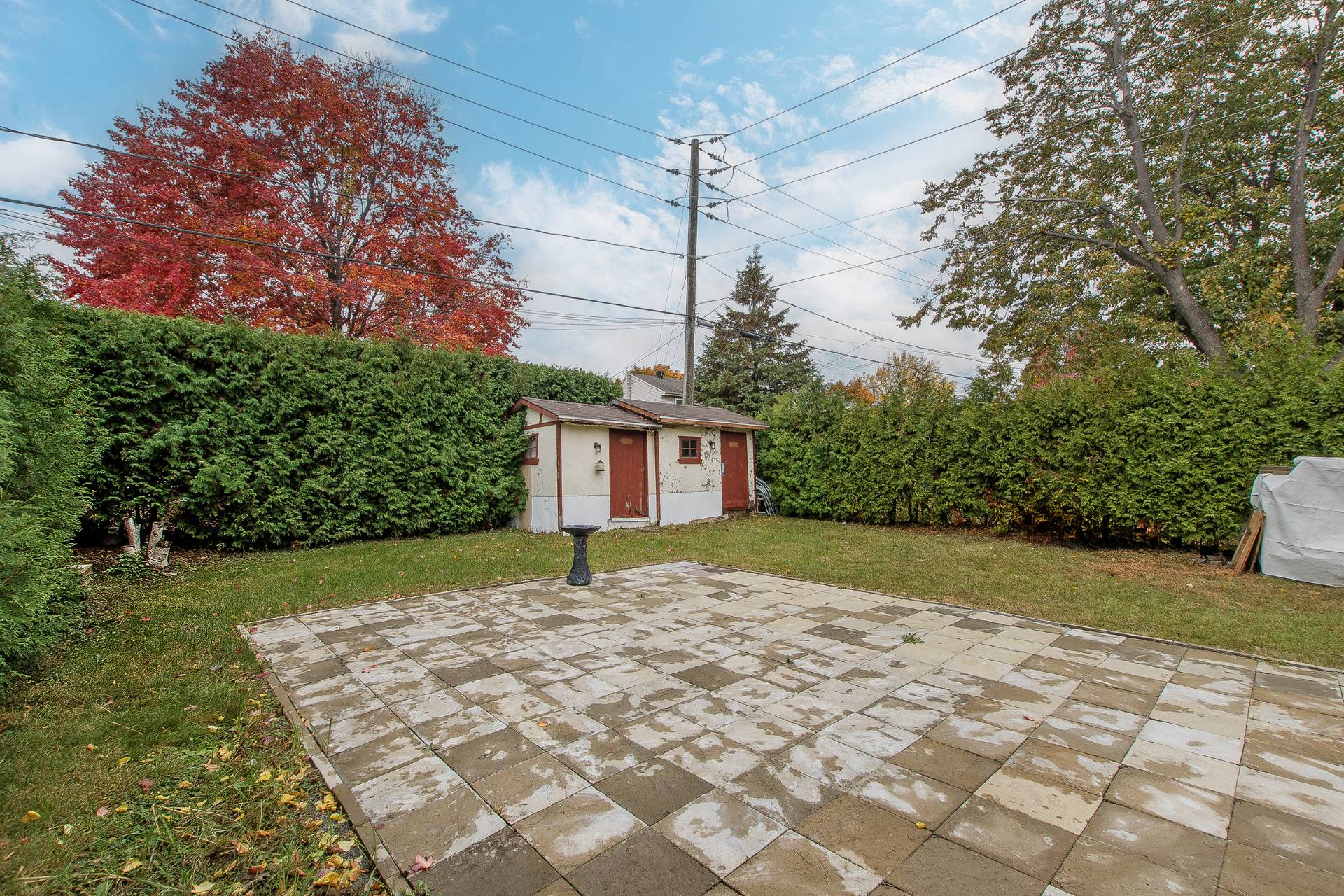 Backyard